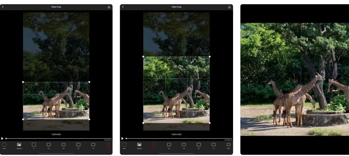 Aplikasi Editor Video Iphone Tanpa Watermark Dengan Lagu Gratis 2022