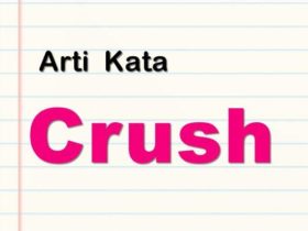 Crush Arti Bahasa Gaul