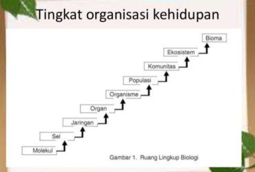 Sebutkan Tingkatan Hierarki Kehidupan Makhluk Hidup