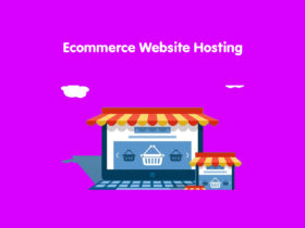 Ecommerce Website Hosting