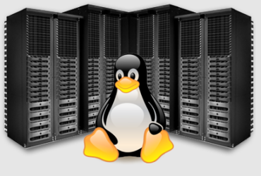 Linux Server Hosting