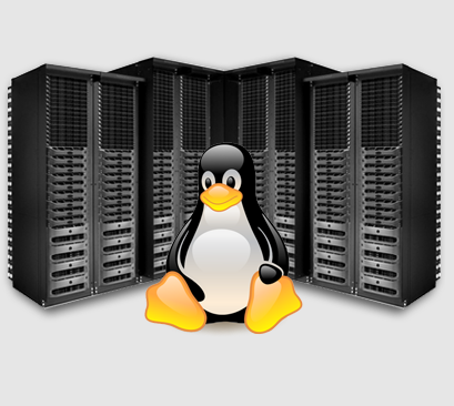 Linux Server Hosting