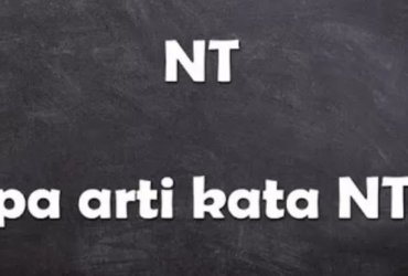 Arti Dari Nt Di Tiktok