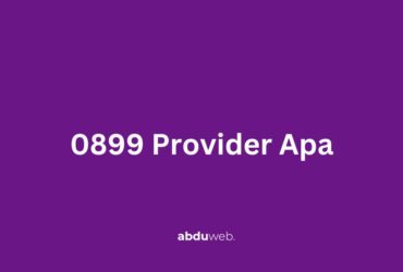 0899 Provider Apa
