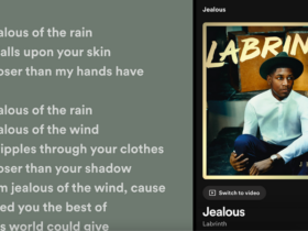 Jealous Labrinth